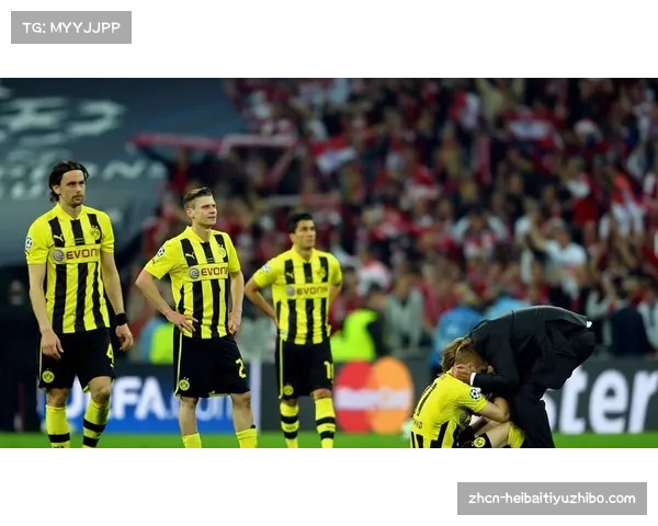2013年欧冠决赛回顾 拜仁慕尼黑与多特蒙德的精彩对决与历史瞬间